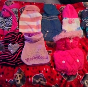 Dog clothes